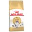 Royal Canin Norwegian Forest Cat Adult 2 kg