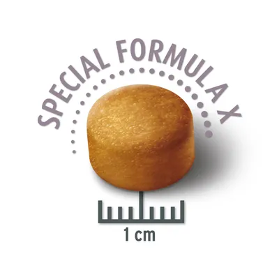 Krokette met het opschrift 'Special Formula X', diameter 1 cm, weergegeven met schaal.