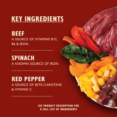 Lily's Kitchen Beef Goulash - Multibuy: 24 x 400g