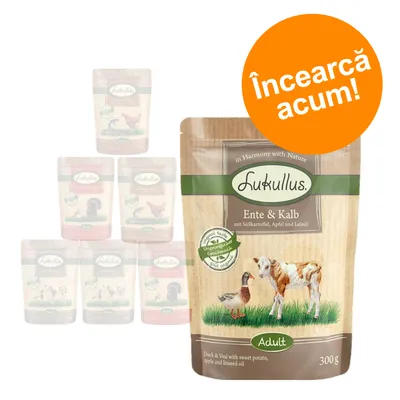 Pachet hrană Lukullus Ente & Kalb Adult 300 g, cu rață și vițel. Text vizibil: „Încearcă acum!” pe fundal portocaliu. Pachet hrană Lukullus Ente & Kalb Adult 300 g, cu rață și vițel. Text vizibil: „Încearcă acum!” pe fundal portocaliu.