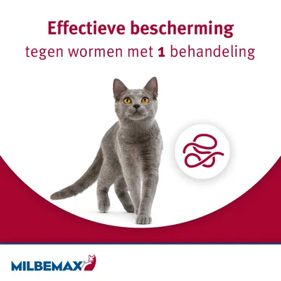 Effectieve bescherming tegen wormen met 1 behandeling. MILBEMAX merknaam zichtbaar, afbeelding van een grijze kat en symbool van een worm.