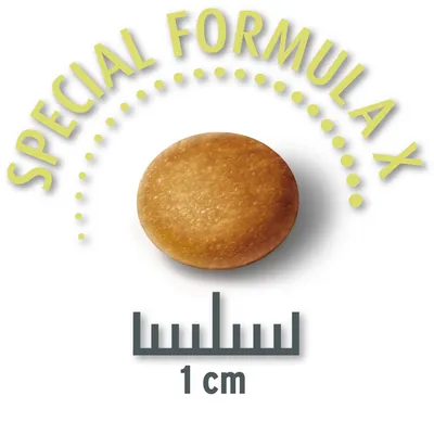 Afbeelding van brokjes met een diameter van 1 cm, tekst: Special Formula X.
