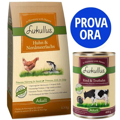 Lukullus Huhn & Nordmeerlaachs sacco 1,5 kg e Lukullus Rind & Truthahn lattina 400 g per cani adulti. Testo visibile: PROVA ORA.