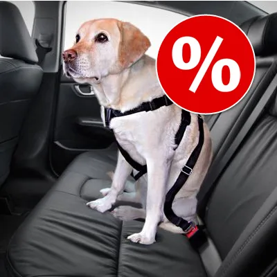 Koira istuu auton takapenkillä mustissa valjaissa, suuri punainen prosenttimerkki oikealla yläkulmassa. Valjaat kiinnitetty turvavyöhön.