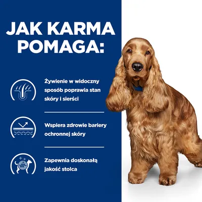 Jak karma pomaga: żywienie poprawia stan skóry i sierści, wspiera zdrowie bariery ochronnej skóry, zapewnia doskonałą jakość stolca. Obok pies o długiej sierści.