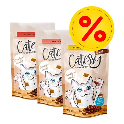 Tři balení Catessy Snack 65 g: s hovězím, lososem a drůbežím. Velká žlutá ikona procenta označující akční nabídku.