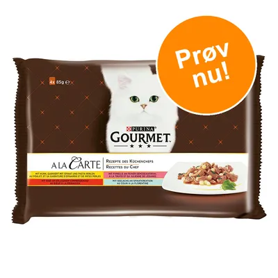PURINA GOURMET A LA CARTE kattemad, 4x85g. Tekst: Prøv nu! Synlig hvid kat og billede af serveret foder på tallerken. Opskrifter: Rezepte des Küchenchefs, Recettes du Chef.