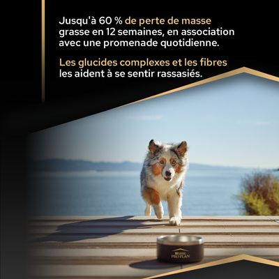 Jusqu'à 60 % de perte de graisse en 12 semaines avec une promenade quotidienne. Les glucides complexes et les fibres aident à favoriser la sensation de satiété.