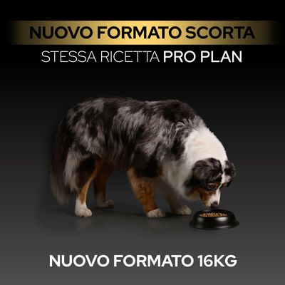 Nuovo formato scorta, stessa ricetta Pro Plan, nuovo formato 16 kg. Il cane mangia dalla ciotola.