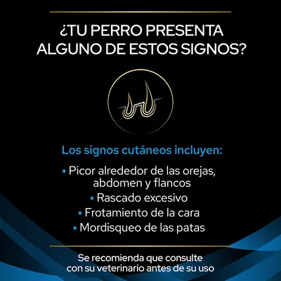 ¿Tu perro presenta alguno de estos signos? Los signos cutáneos incluyen: picor alrededor de las orejas, abdomen y flancos, rascado excesivo, frotamiento de la cara, mordisqueo de las patas. Se recomienda consultar al veterinario.