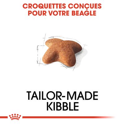 Croquettes conçues pour votre Beagle. Texte en anglais : Tailor-made kibble. Croquette en forme d’étoile au centre de l’image.