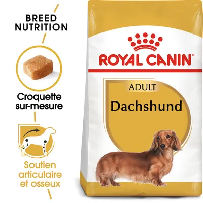 Sachet Royal Canin Adult Dachshund, croquette sur-mesure, soutien articulaire et osseux, illustration d’un teckel, texte Breed Nutrition visible sur l’emballage. Sachet Royal Canin Adult Dachshund, croquette sur-mesure, soutien articulaire et osseux, illustration d’un teckel, texte Breed Nutrition visible sur l’emballage.