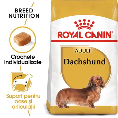 Pachet Royal Canin Adult Dachshund, text vizibil: Crochete individualizate, Suport pentru oase și articulații, imagine cu un câine teckel și o croșetă.
