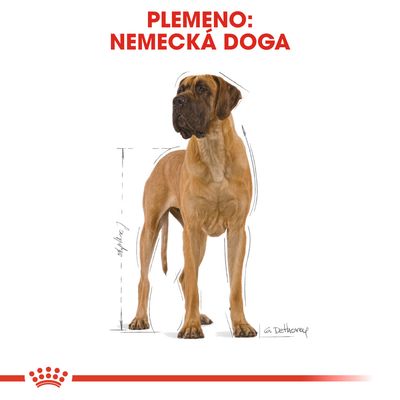 Plemeno: nemecká doga. Ilustrácia psa s vyznačenými rozmermi postavy, názov plemena zobrazený veľkým červeným písmom hore.
