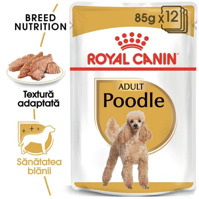 Pachet Royal Canin Adult Poodle, 85g x12. Text vizibil: Breed Nutrition, Textură adaptată, Sănătatea blănii. Imagine plic cu pudel și hrană umedă pe farfurie.