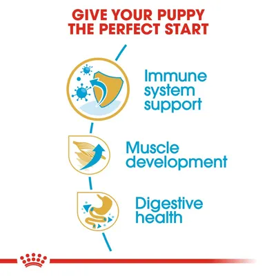 Κείμενο στα αγγλικά: Give your puppy the perfect start. Immune system support, Muscle development, Digestive health. Εικονίδια ασπίδας, μυών και στομάχου δίπλα σε κάθε φράση.