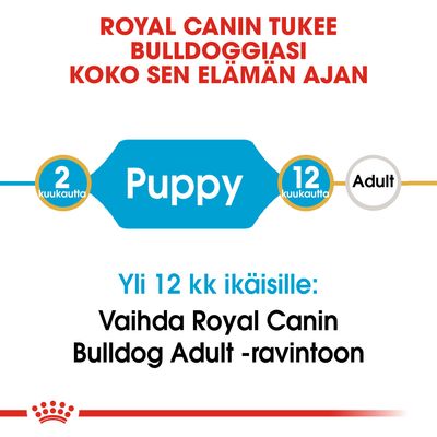 Royal Canin tukee bulldoggiasi koko elämän ajan. 2–12 kk: Puppy, yli 12 kk: vaihda Royal Canin Bulldog Adult -ravintoon.