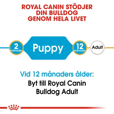 Royal Canin stödjer din bulldog genom hela livet. Puppy 2–12 månader, Adult efter 12 månader. Vid 12 månaders ålder: Byt till Royal Canin Bulldog Adult.