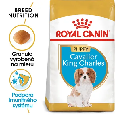 Royal Canin Puppy Cavalier King Charles, granula vyrobená na mieru, podpora imunitného systému, balenie s obrázkom šteniatka tejto rasy.
