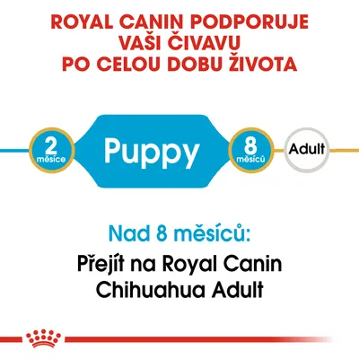 Royal Canin podporuje vaši čivavu po celou dobu života. Puppy 2 měsíce–8 měsíců, nad 8 měsíců přejít na Royal Canin Chihuahua Adult.