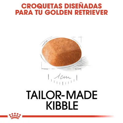 Croquetas diseñadas para tu Golden Retriever. Imagen de una croqueta con diámetro de 1 cm. Texto en inglés: Tailor-made kibble.