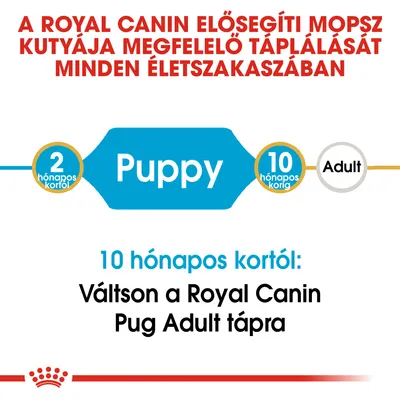 A Royal Canin elősegíti mopsz kutyája megfelelő táplálását minden életszakaszban. 2 hónapos kortól Puppy, 10 hónapos kortól váltson Royal Canin Pug Adult tápra.