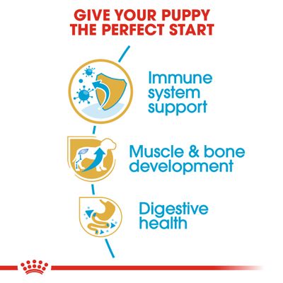 Teksti englanniksi: Give your puppy the perfect start. Immune system support, muscle & bone development, digestive health. Kolme kuvaketta tukemassa väitteitä.