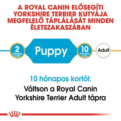 A Royal Canin elősegíti Yorkshire Terrier kutyája megfelelő táplálását minden életszakaszban. 2 hónapos kortól Puppy, 10 hónapos kortól váltson Adult tápra.