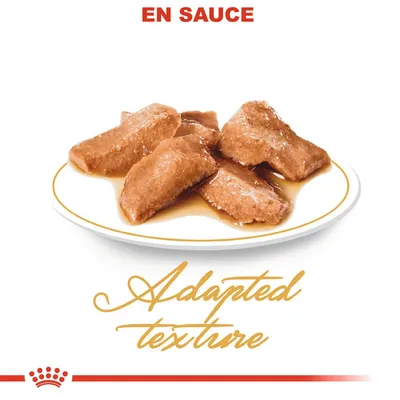 Morceaux de nourriture en sauce sur une assiette, texte visible : EN SAUCE, Adapted texture