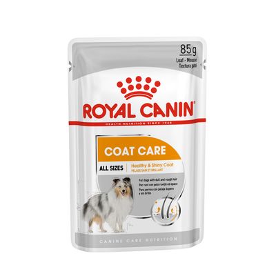 Royal Canin Coat Care vådfoder til hunde, 85 g. Tekst: ALL SIZES, Healthy & Shiny Coat, for dogs with dull and rough hair. Billede af hund på emballagen.