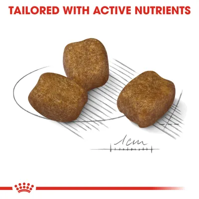 Three pieces of kibble shown with a 1cm scale and the text 'Tailored with active nutrients' above, highlighting nutrient content and kibble size.