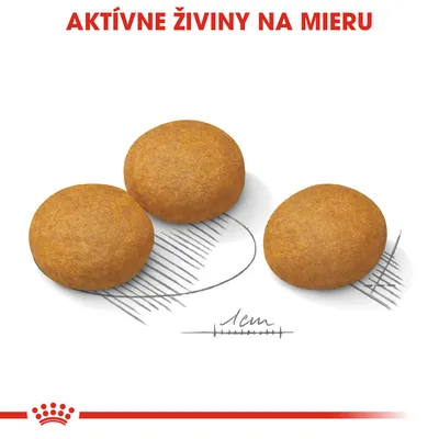 Tri granule s priemerom približne 1 cm, nad nimi červený text: AKTÍVNE ŽIVINY NA MIERU.