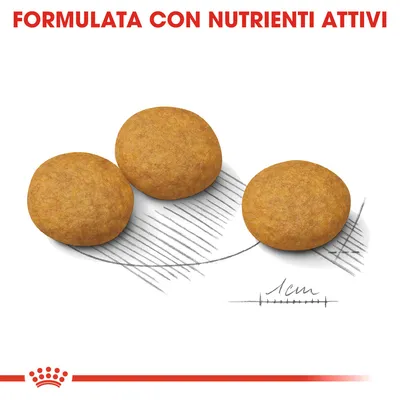 Tre crocchette rotonde con scala di riferimento 1 cm, testo visibile: FORMULATA CON NUTRIENTI ATTIVI.