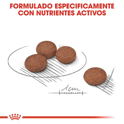 Cuatro croquetas redondas de pienso junto a escala de 1 cm y texto: FORMULADO ESPECÍFICAMENTE CON NUTRIENTES ACTIVOS.