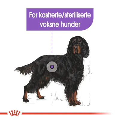  Royal Canin Maxi Sterilised