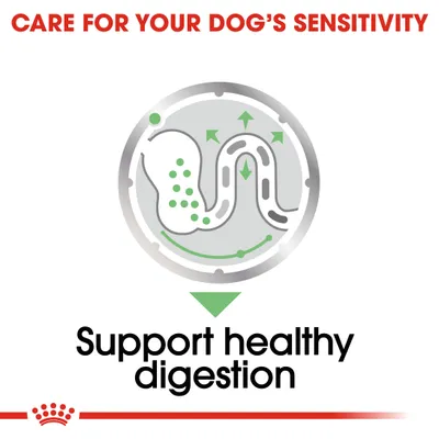 Care for your dog's sensitivity. Support healthy digestion, with diagram showing digestive tract and arrows indicating improved digestion.