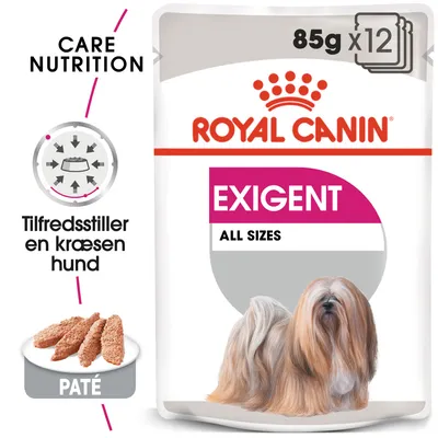 ROYAL CANIN EXIGENT ALL SIZES, 85 g x12. Care Nutrition. Tilfredsstiller en kræsen hund. PATÉ. Billede af langhåret hund på emballagen.
