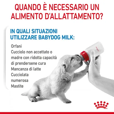 Testo: Quando è necessario un alimento d'allattamento? In quali situazioni utilizzare Babydog Milk: Orfani, cucciolo non accettato, mancanza di latte, cucciolata numerosa, mastite.