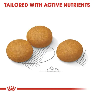 Three round kibble pieces shown with a 1cm scale and the text 'Tailored with active nutrients' above.