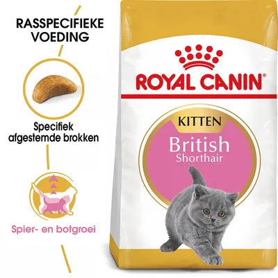 Royal Canin Kitten British Shorthair kattenvoer, rasspecifieke voeding, specifiek afgestemde brokken, spier- en botgroei. Verpakking met afbeelding van een grijze kitten.