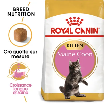 Royal Canin Kitten Maine Coon, croquette sur mesure, croissance longue et saine. Texte en anglais : Breed Nutrition. Image d’un chaton Maine Coon sur l’emballage.