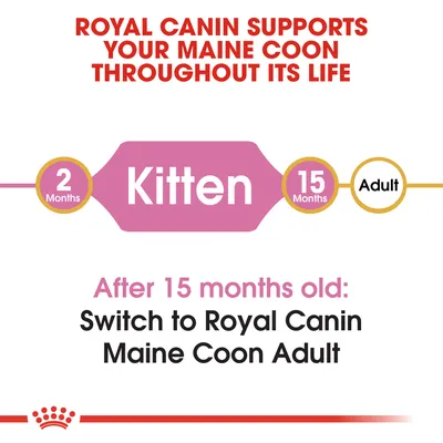 ROYAL CANIN SUPPORTS YOUR MAINE COON THROUGHOUT ITS LIFE. 2 Months Kitten 15 Months Adult. After 15 months old: Switch to Royal Canin Maine Coon Adult. Text på engelska.
