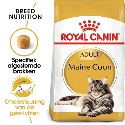 Royal Canin Adult Maine Coon kattenvoer, specifiek afgestemde brokken, ondersteuning van de gewrichten. Verpakking toont afbeelding van een Maine Coon kat.