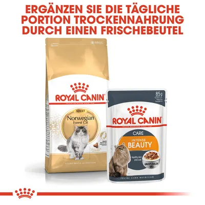 Royal Canin Norwegian Forest Cat Trockenfutter und Intense Beauty Frischebeutel. Ergänzen Sie die tägliche Portion Trockenfutter durch einen Frischebeutel.