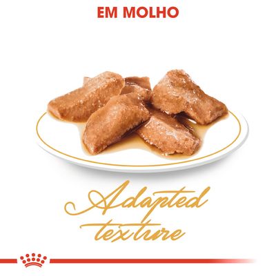 Prato com pedaços de comida húmida em molho. Texto visível: 'EM MOLHO' e 'Adapted texture'.
