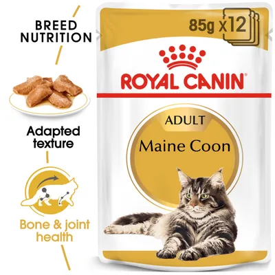 Royal Canin Maine Coon Adult in Gravy - cat wet food - Saver Pack: 24 x 85g