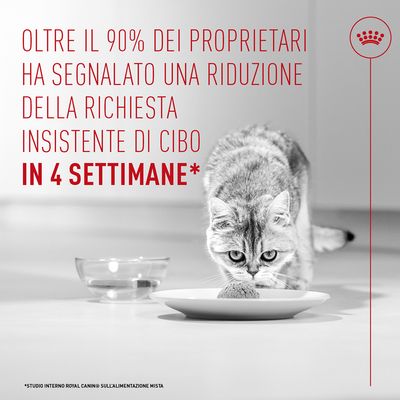 Royal Canin Appetite Control Care AirLift Mousse