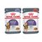 Lot mixte 24 x 85 g Royal Canin en gelée et en sauce Appetite Control Care en sauce et en gelée
