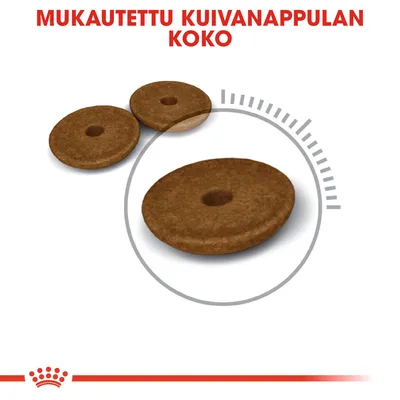 Mukautettu kuivaruokanappulan koko, kolme erikokoista ruskeaa nappulaa ja teksti 'Mukautettu kuivanappulan koko' yläreunassa.