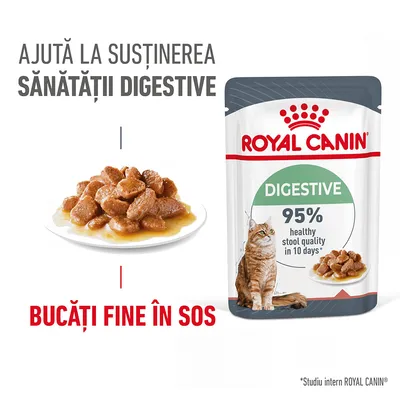 Plic Royal Canin Digestive pentru pisici, text vizibil: Ajută la susținerea sănătății digestive, 95% healthy stool quality in 10 days, bucăți fine în sos. Imagine cu hrană umedă și pisică.